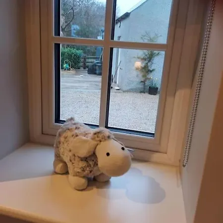 公寓 Holly 莱特肯尼